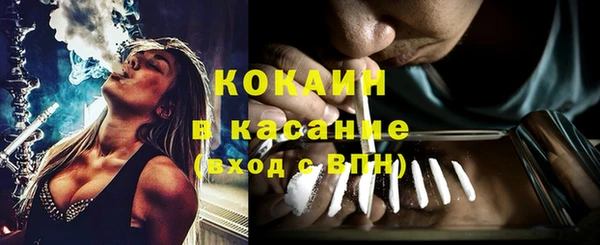 прущий лед Бородино
